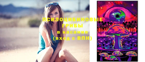 2c-b Алзамай