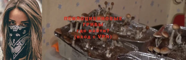 стаф Алексеевка