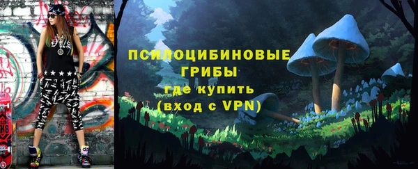 стаф Алексеевка