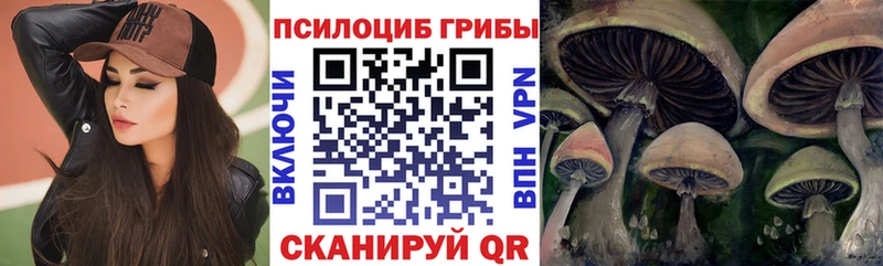 Псилоцибиновые грибы MAGIC MUSHROOMS  Карачаевск 