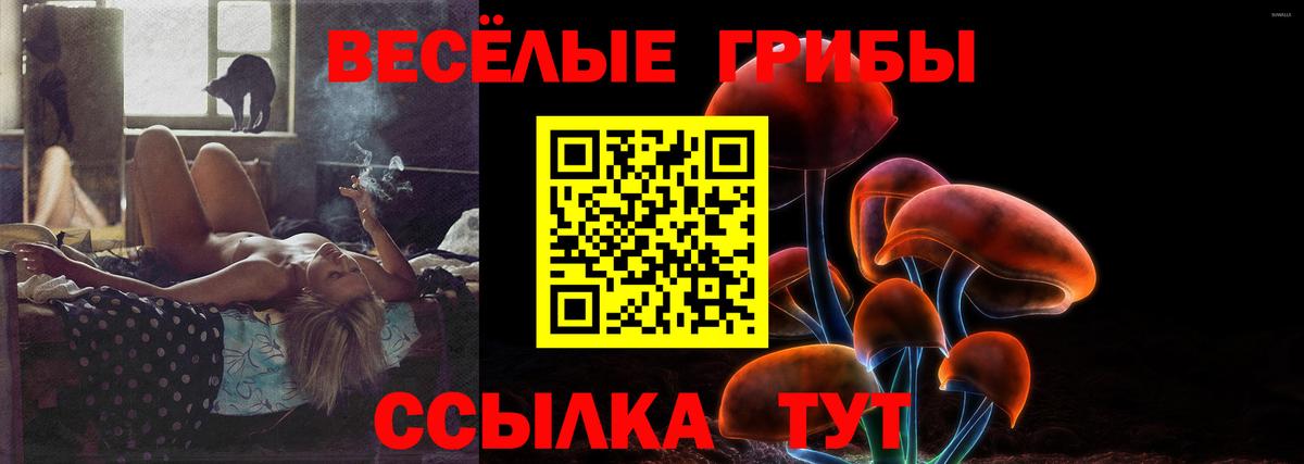 Галлюциногенные грибы Psilocybe  Вход с VPN  Псилоцибиновые грибы прущие грибы  Карачаевск 
