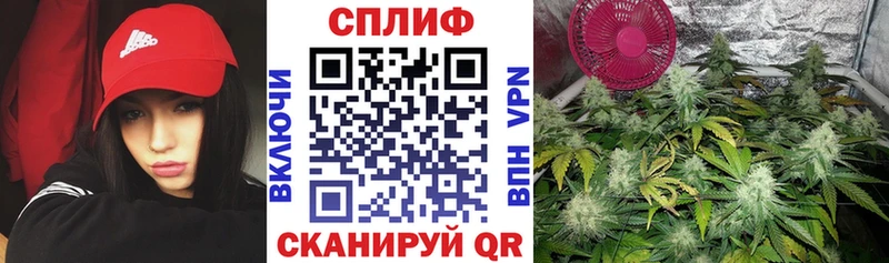 Конопля планчик  Карачаевск 
